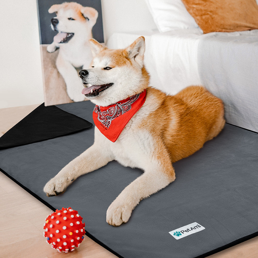 Soft waterproof throw blanket for dogs protecting a beige sofa from spills and accidents