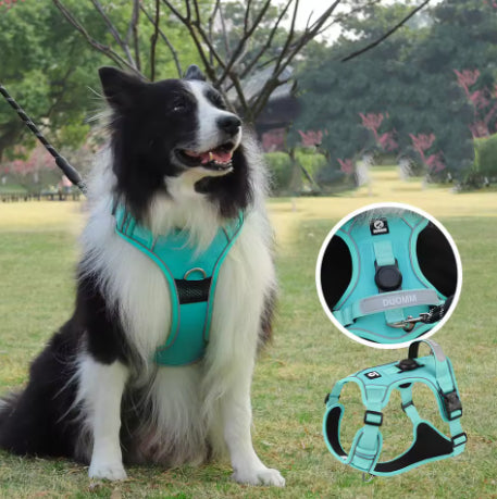 Comfortable no-pull dog harness designed to provide secure control and reduce pulling during walks