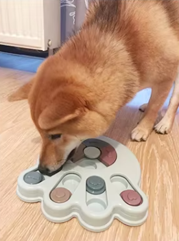 interactive bowl specially designed for large dogs 1
