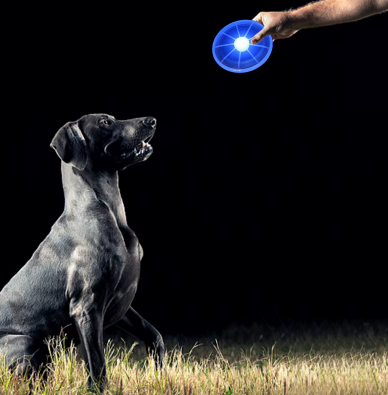 LED dog frisbee with a bright green light that glows in the dark