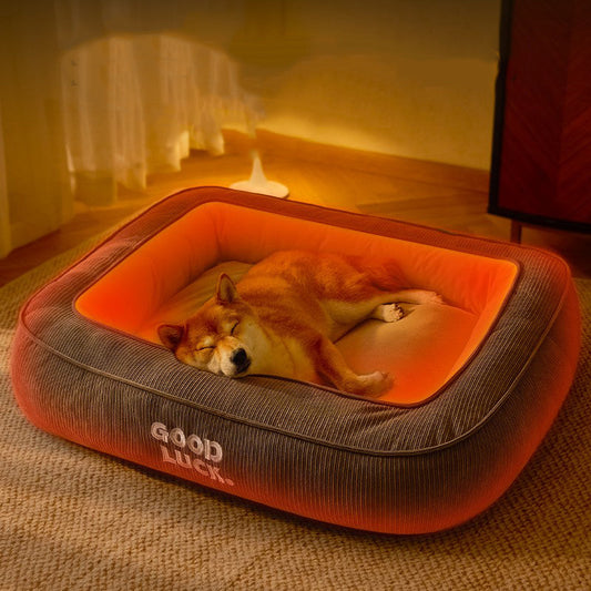 Soft padded heated dog bed providing warmth and comfort for dogs during cold weather