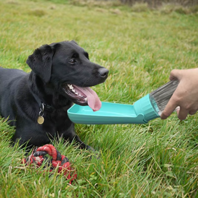 One-hand operation dog water dispenser ideal for hiking and travel