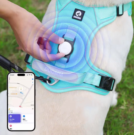 Adjustable no-pull dog harness comfortable and secure for daily walks