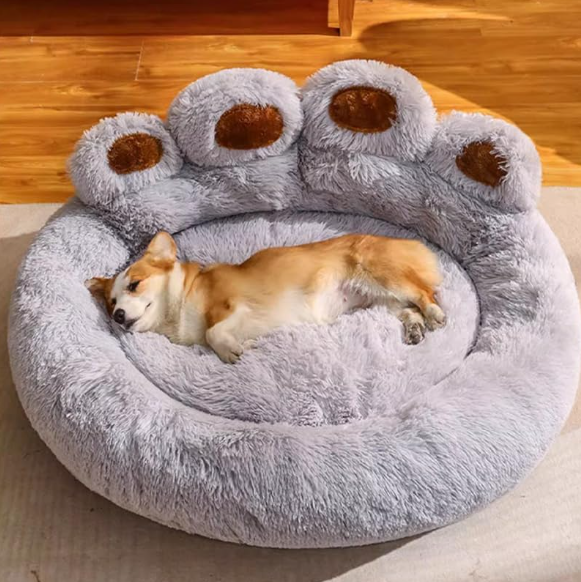 Soft comfortable dog sofa with washable cushion providing a cozy resting place for dogs