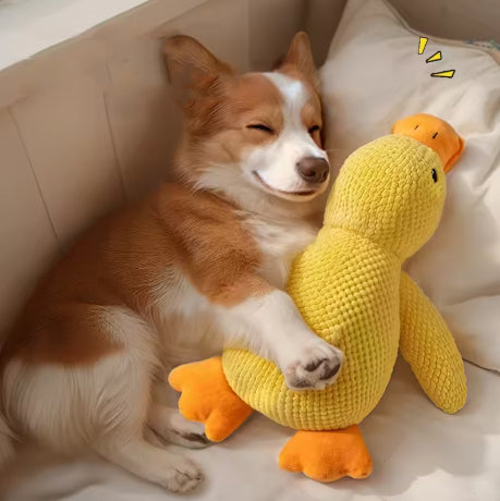 Soft plush duck toy for dogs, durable squeaky stuffed dog toy for chewing and play