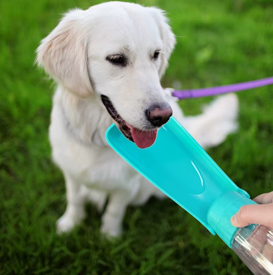 Leak-proof portable dog water bottle with a built-in trough for easy drinking on walks